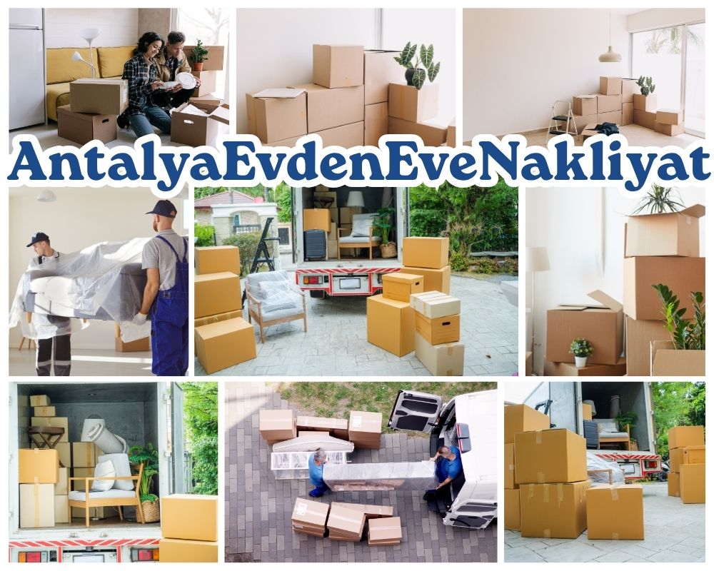 Antalya Trabzon Evden Eve Taşımacılık